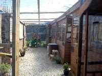 Clements Dale Cattery