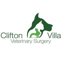 Clifton Villa Veterinary Surgery - Camborne