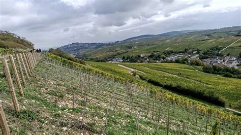 Climavin à Sancerre