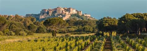 Clos Landry à Calvi