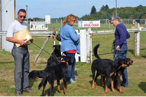 Club d'éducation canine de LA SOUTERRAINE à La Souterraine