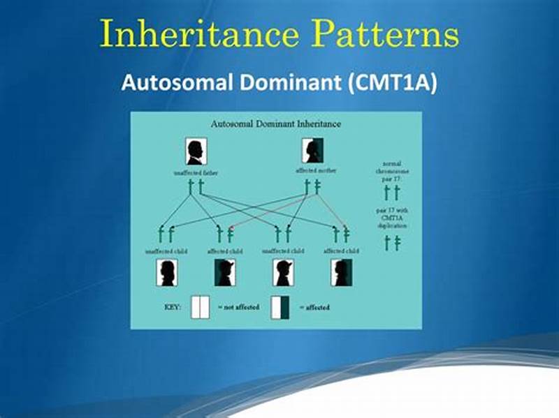 Cmt Inheritance Pattern