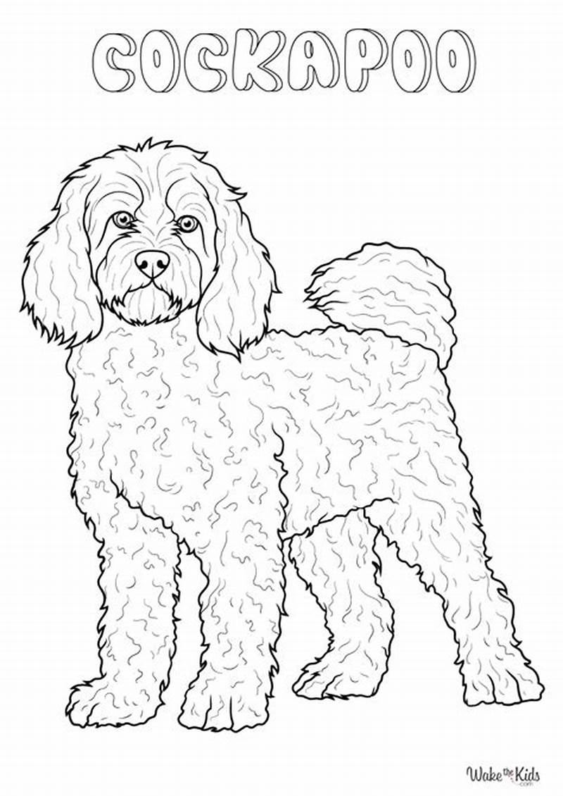 Cockapoo Coloring Pages