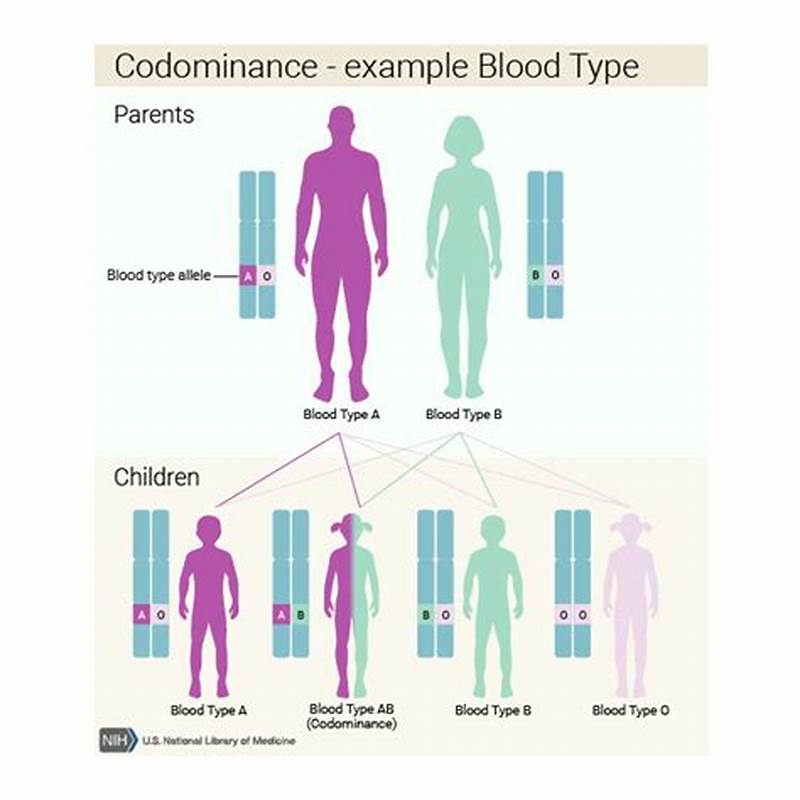 Codominant Inheritance Pattern