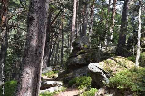 Coiffure du Hohnack à Labaroche