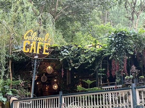 Colonel's Cafe Naukuchiyatal