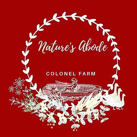 Colonel's Farm - Farm & Home Boarding