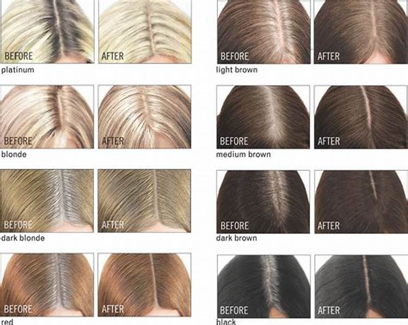 Color Wow Root Cover Up Color Chart
