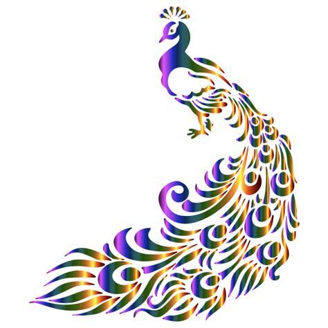 Colorful Peacock Vec… 