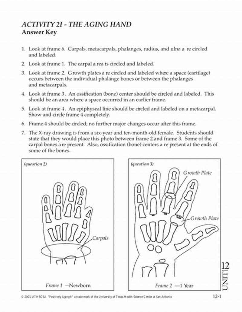 Coloring Answer Key The Aging Hand Worksheet