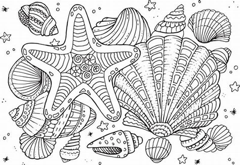 Coloring Book Shells