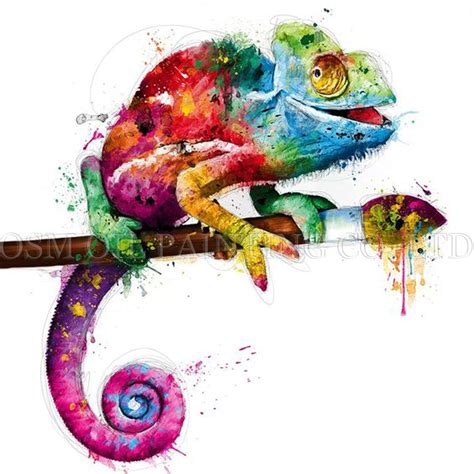 Colour Chameleon Painting & Decorating