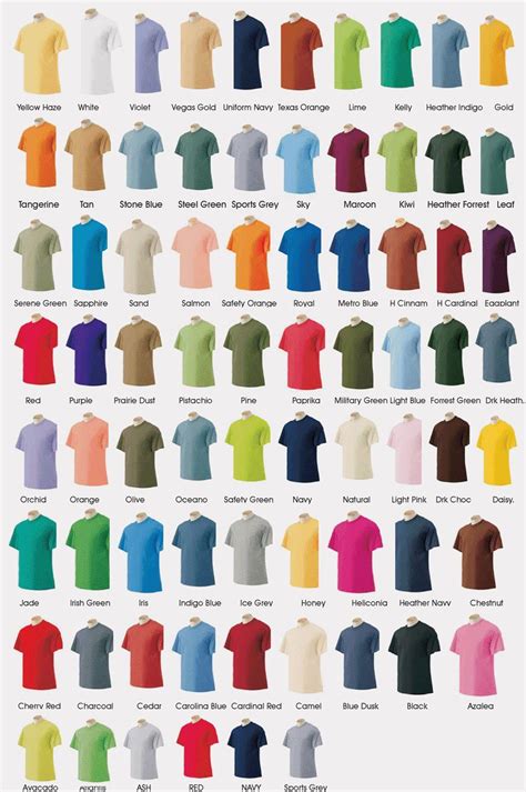 Colour Chart Shirt