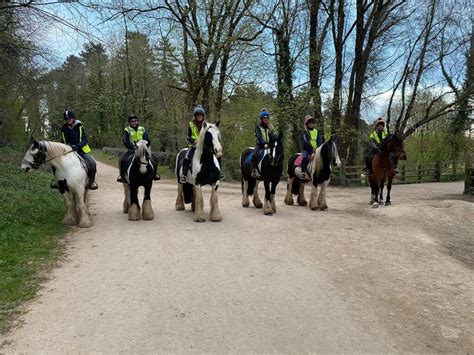 Coloured Cob Trekking Centre Ltd