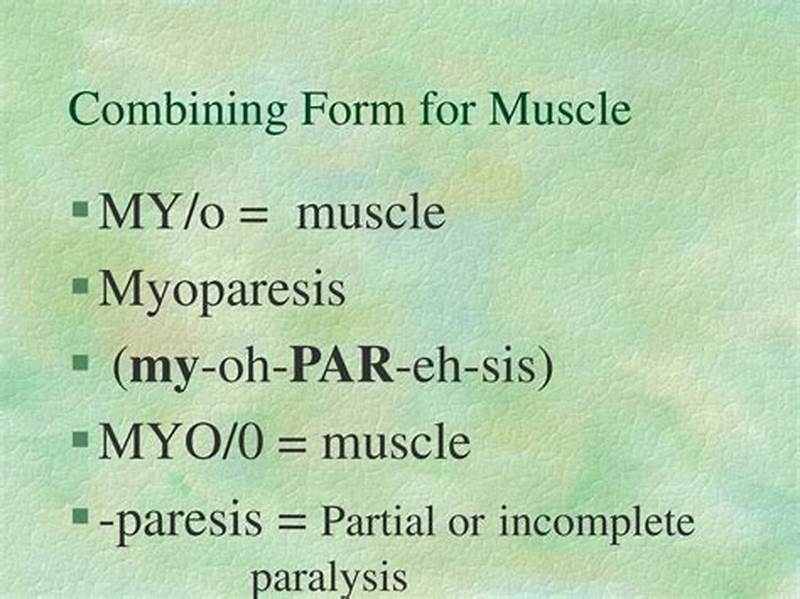 Combining Form For Smooth Muscle