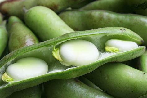 Commune de Gousse à Gousse