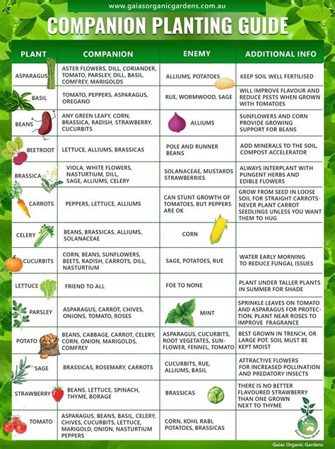 Companion Planting Chart Printable