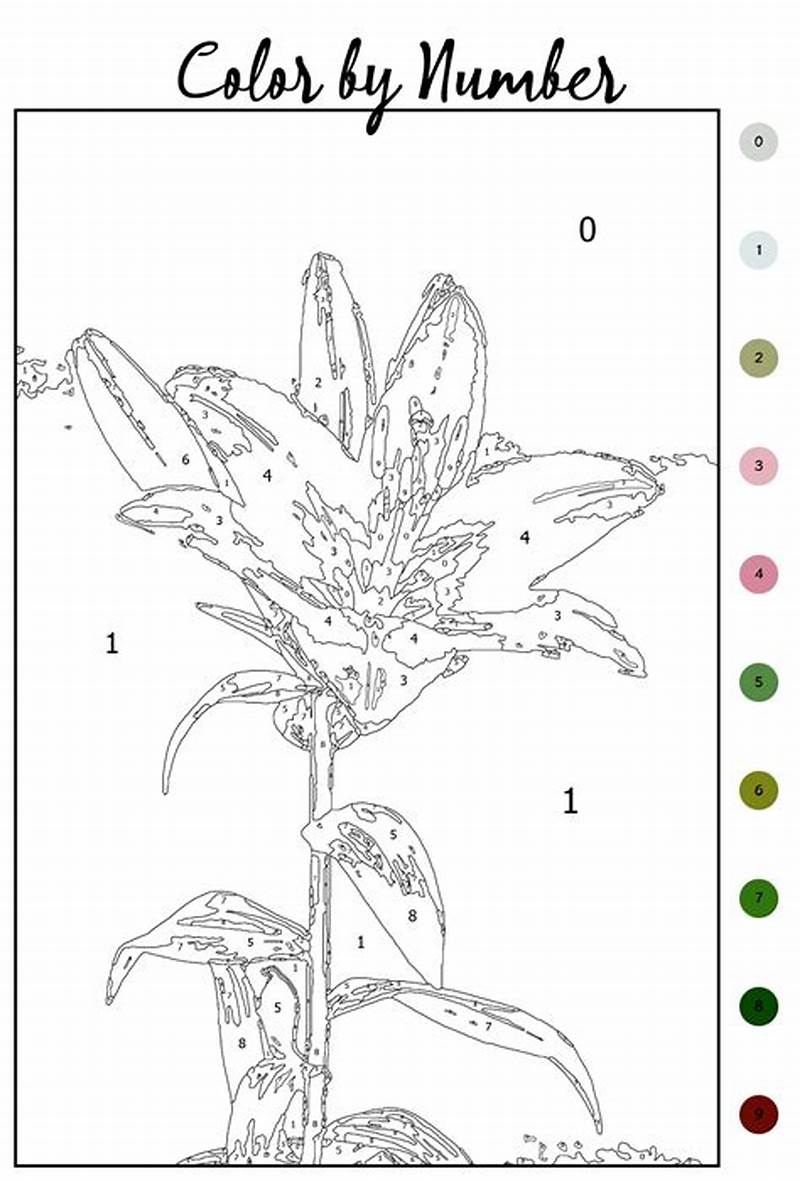 Complex Color By Number Printables
