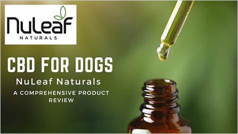 Comprehensive Review of NuLeaf CBD for Dogs: Analyzing the Benefits and Effectiveness