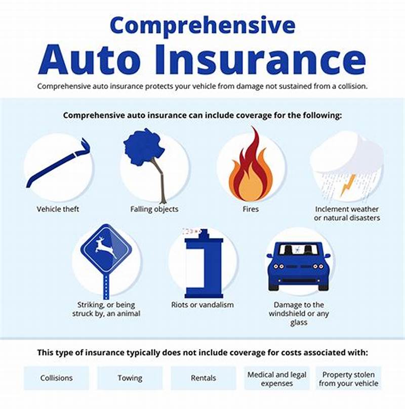 Comprehensive Auto Insurance Claim