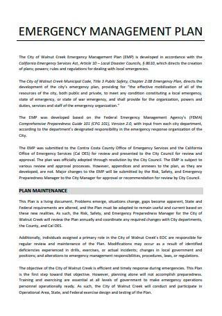 Comprehensive Emergency Management Plan Template