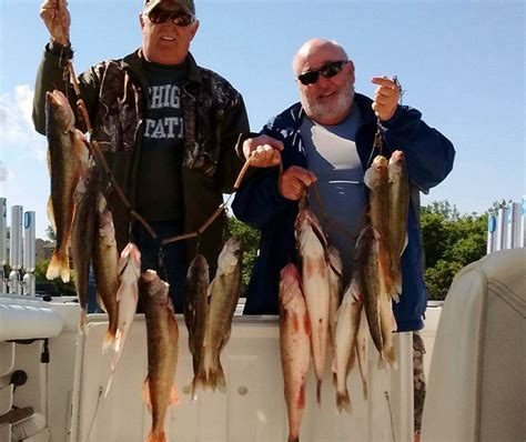 Conclusion Lake Erie Fishing Report 2017