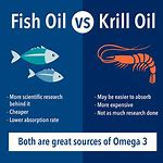 Conclusion fish oil