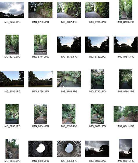 Contact Sheet Template Photography