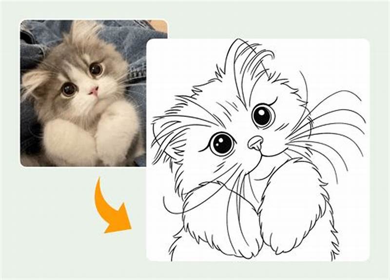 Convert Image Into Coloring Page