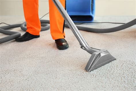 Cook Carpet Cleaning Professionals