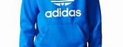 Cool Adidas Light Blue Hoodie