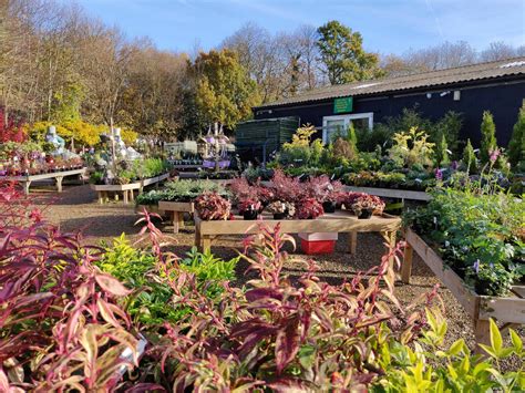 Coolings - Garden Centre and Plant Nursery, Gardening and Horticultural Services, Restaurant