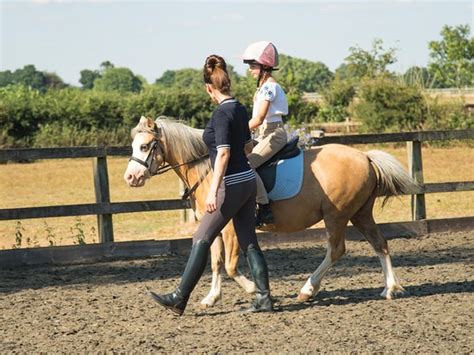 Coombe Stables Ltd - Horse riding in the New Forest