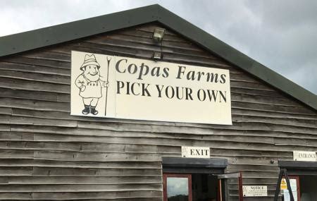 Copas Farms PYO
