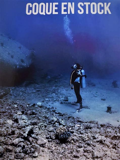 Coque En Stock à Paris