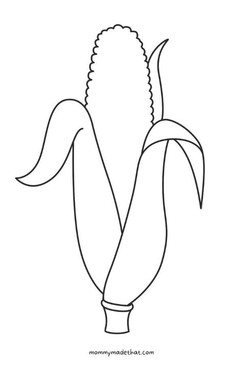 Corn Cob Template