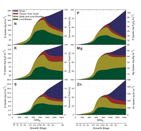 Corn Nutrient Uptake Chart