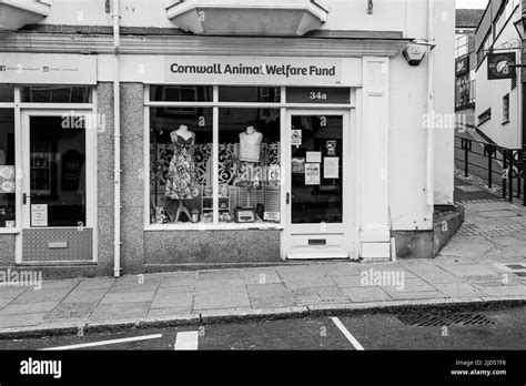 Cornwall Animal Welfare Fund