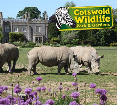 Cotswold Wildlife Control