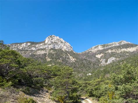 Cougoir à Condorcet