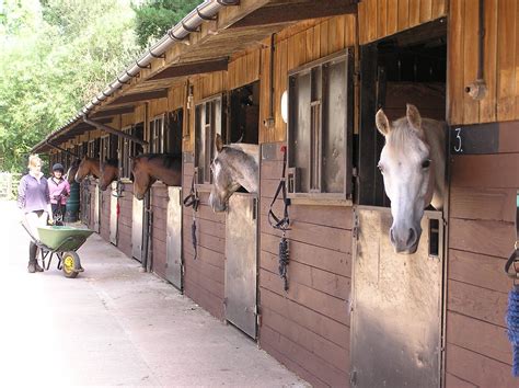 Court Gates Farm and Livery Stables