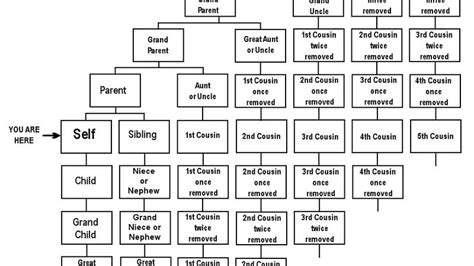 Cousins Explanation Chart