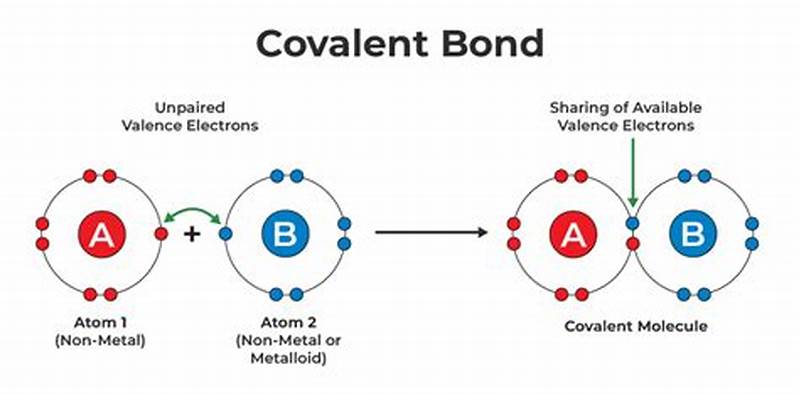 Covalent Bonds Form Between...