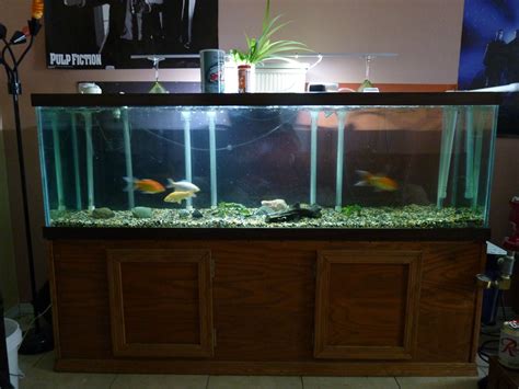 Craigslist Fish Tanks