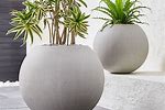 Crate And Barrel Planters