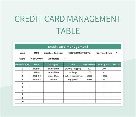 Credit Card Management Excel Template