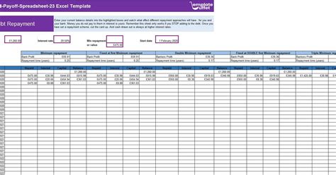 Credit Card Payoff Spreadsheet Template