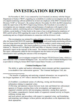 Criminal Report Template