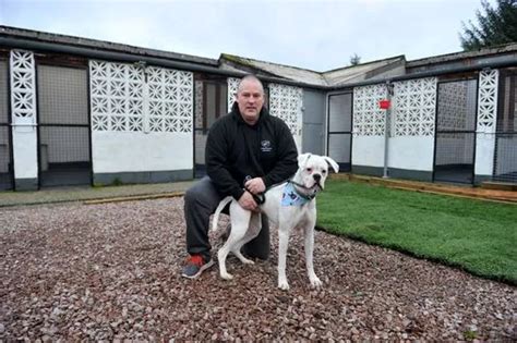 Crinan Kennels & Cattery