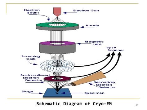 Cryo-Electron